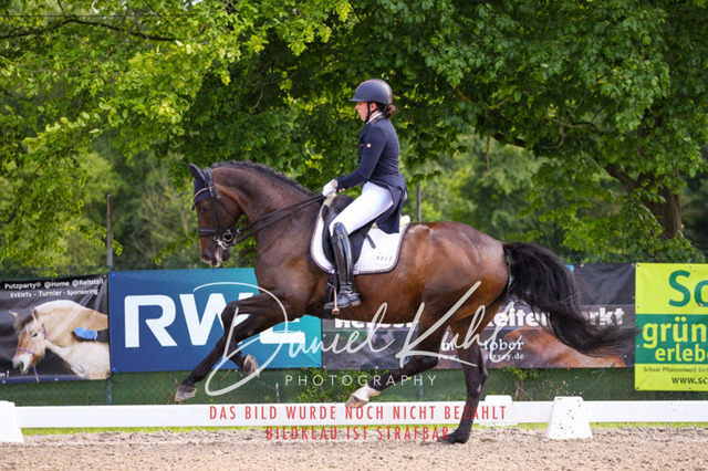DKP41373 | Deine Turnierfotos vom Reitturnier online kaufen: Dressur, Springen & Siegerehrung. Professionelle Pferdefotografie aus dem Rheinland – als Download & Print.Alternative: Turnierfotograf für den Pferdesport: Finde deine Fotos von Dressur- und Springturnier