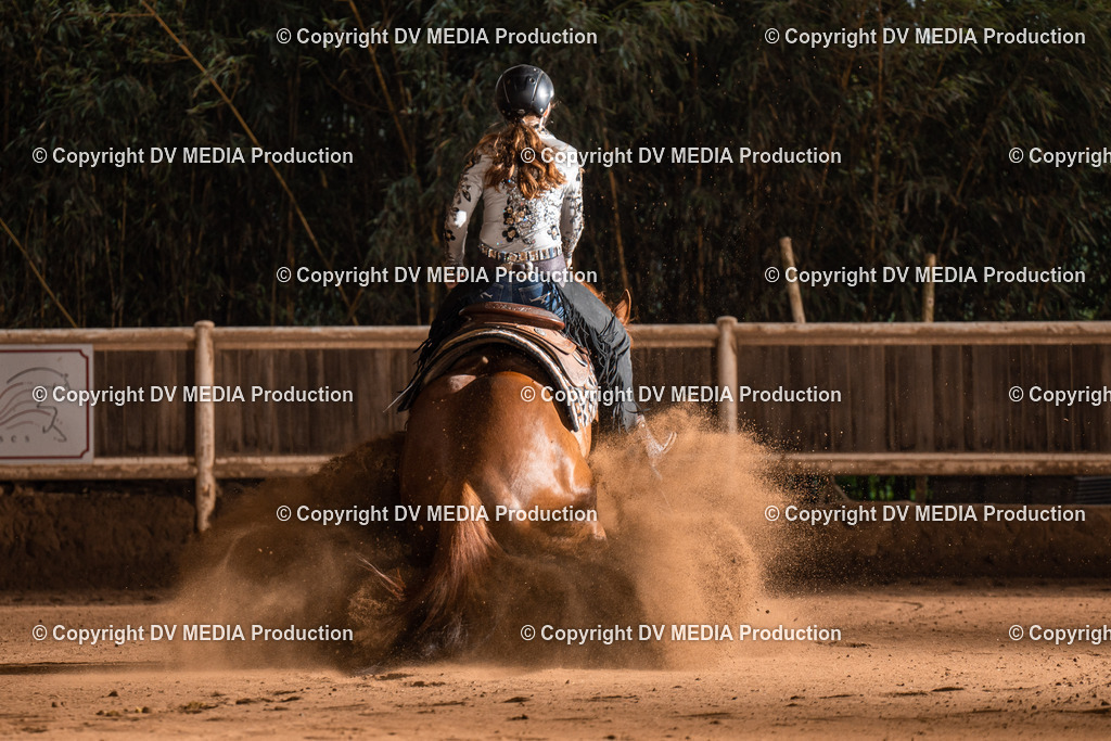 Erbach Tag 3-859 | dv-media-shop - Realisiert mit Pictrs.com