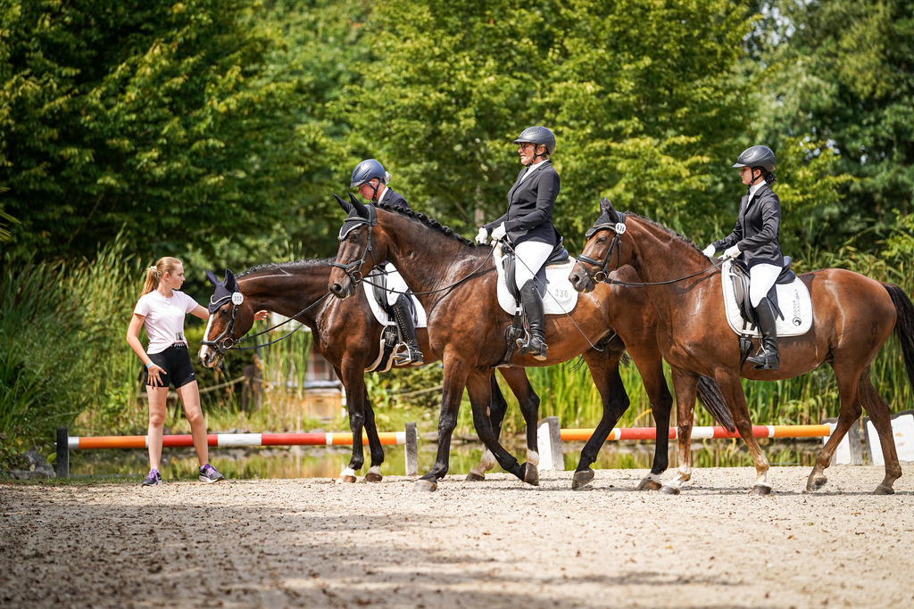 DSC03837 | Pferdegrafie