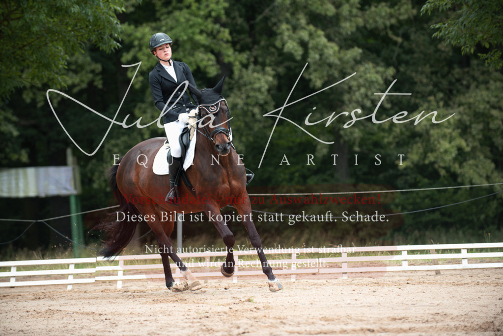 DSC_9593 | Pferde- und Turnierfotografie in Westsachsen. Pferdeportraits, Auftragszeichnungen und intuitive Kunst.