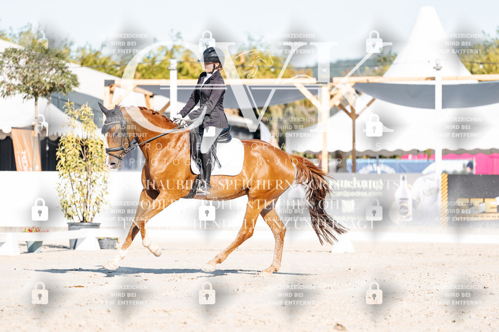 CK907186 | Turnierfotografie Pferdefotografie Trier Rheinland-Pfalz Pferdesport Reitsport Tierfotografie Sportfotografie Pferdevideo Pferdevideografie Equestrianvideography equestrianphotography  - Realisiert mit Pictrs.com