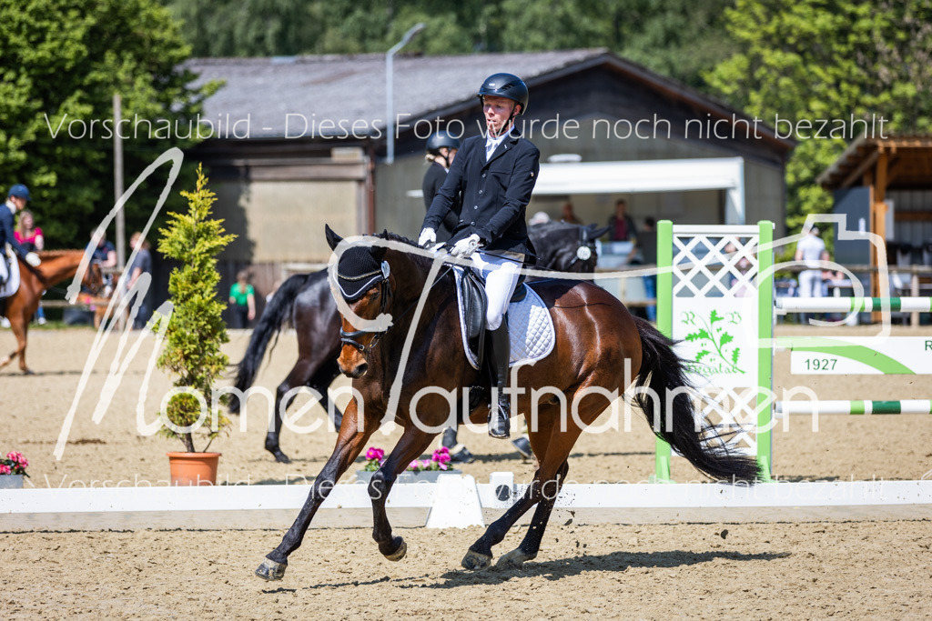 Donop24-L-Dre-074 | MomenTaufnahmen Pferdesportfotos