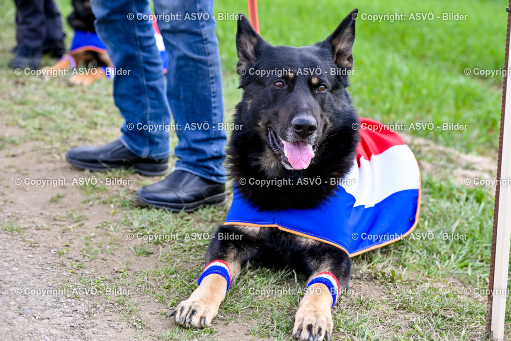 ASVÖ_ Tracking Dog World Championship 2025_ 05.04.2025-92 | bilder.asvo-sport - Realisiert mit Pictrs.com