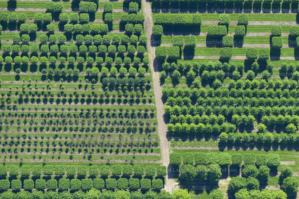 3620904 | Baumschulen bei Bad Zwischenahn