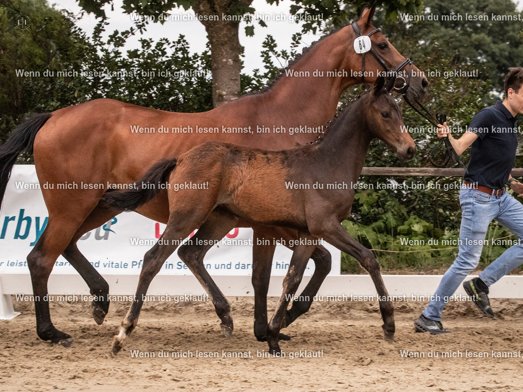 A10I6551 | photographylinaismer - Realisiert mit Pictrs.com