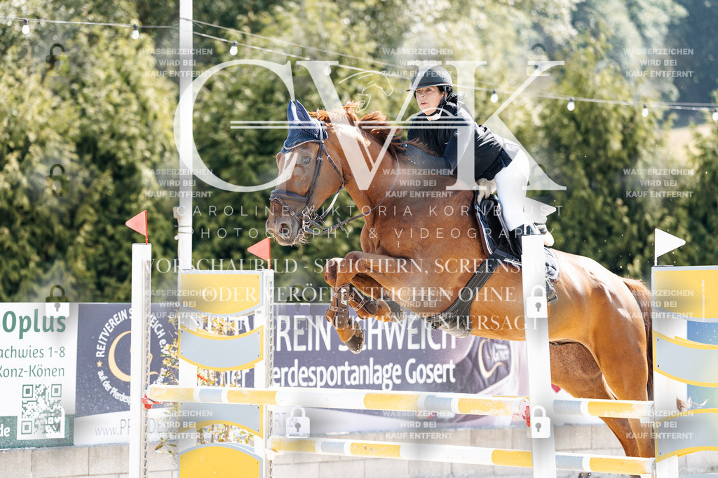 CK908427 | Turnierfotografie Pferdefotografie Trier Rheinland-Pfalz Pferdesport Reitsport Tierfotografie Sportfotografie Pferdevideo Pferdevideografie Equestrianvideography equestrianphotography  - Realisiert mit Pictrs.com