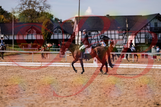 2026_10_03_Siefer-Hof_130228_Z81_56797820 | Professionelle Reitsport-, Turnier- und Eventfotografie von Robert Broda. Galerien mit ausgewählten und bearbeiteten Bildern direkt online ansehen und bestellen.