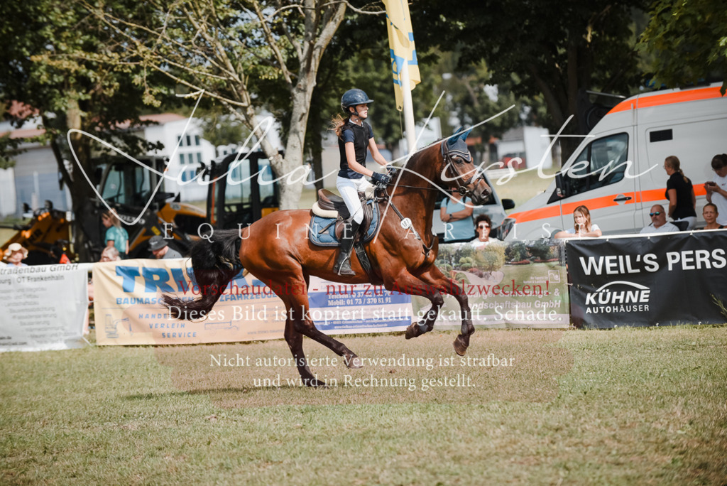 DSC_5516 | Pferde- und Turnierfotografie in Westsachsen. Pferdeportraits, Auftragszeichnungen und intuitive Kunst.