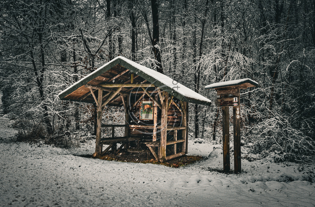 _X0A2887bea | Frank Herberich Fotografie, Frank Herberich, Fotografie, Hochzeit, Portrait, St. Peter Ording, Ording, Westerhever, Nordsee, Frank Fotografie, Hardheim,  Odenwald,Walldürn, Band,Eventfotografie - Realisiert mit Pictrs.com
