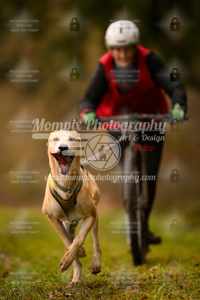 MompixPhotography_2SSTSSBW_2025_SO_Scooter-40 | PayLife