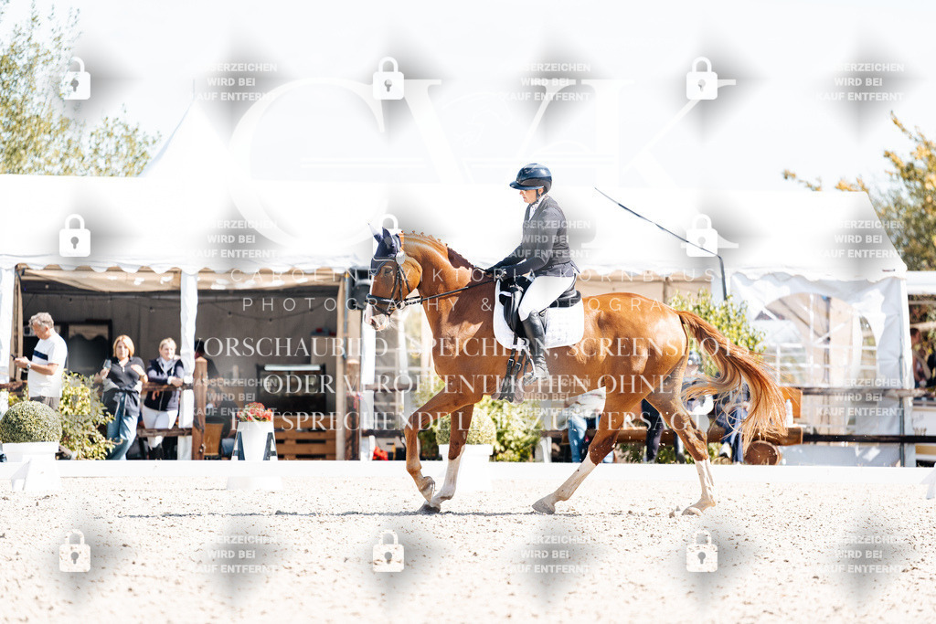 CK903209 | Turnierfotografie Pferdefotografie Trier Rheinland-Pfalz Pferdesport Reitsport Tierfotografie Sportfotografie Pferdevideo Pferdevideografie Equestrianvideography equestrianphotography  - Realisiert mit Pictrs.com