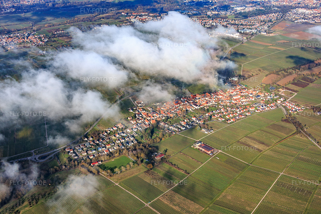 Luftbild: Ortsansicht von Südwesten unter Wolken im Ortsteil Wollmesheim in Landau im Bundesland Rheinland-Pfalz in Deutschland. Foto: IMG_153151.jpg vom 25.02.2026 durch Werner Riehm/FLY-FOTO.de
