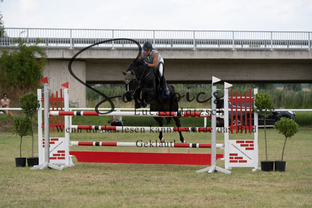 A7V02492 | Pferdefotograf