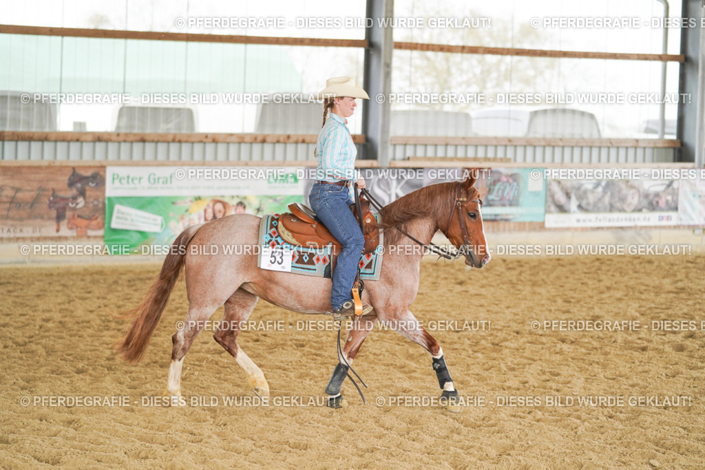 DSC05710 | Pferdegrafie