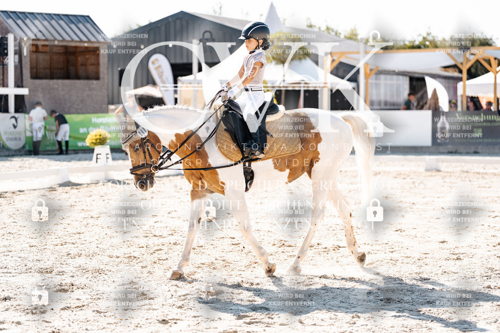 CK903296 | Turnierfotografie Pferdefotografie Trier Rheinland-Pfalz Pferdesport Reitsport Tierfotografie Sportfotografie Pferdevideo Pferdevideografie Equestrianvideography equestrianphotography  - Realisiert mit Pictrs.com