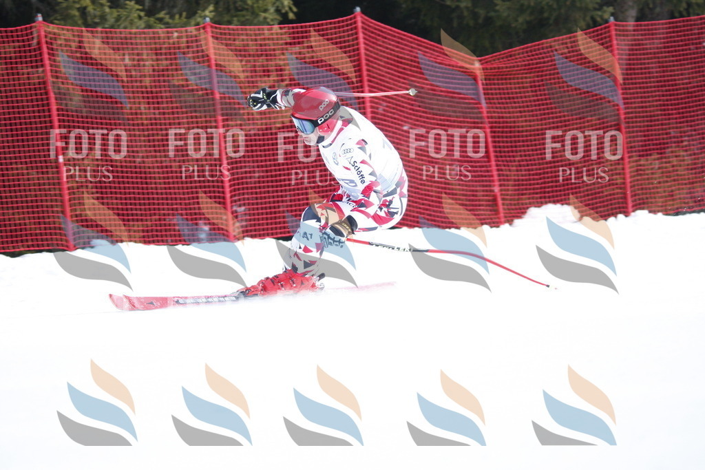 D6493 | holidayphoto