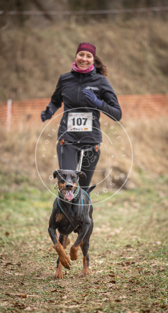 Pfotenfotografie_DV3A7502 | Hundefotografie, Tierfotograf, Pfotenfotografie, Fotoshooting Hund, Hunde Portrait, Hundesport, Hundeportraits, Heideshooting, Hunde, Sportfotograf, Hundefotograf, Turnierhundsport, THS,  - Realisiert mit Pictrs.com