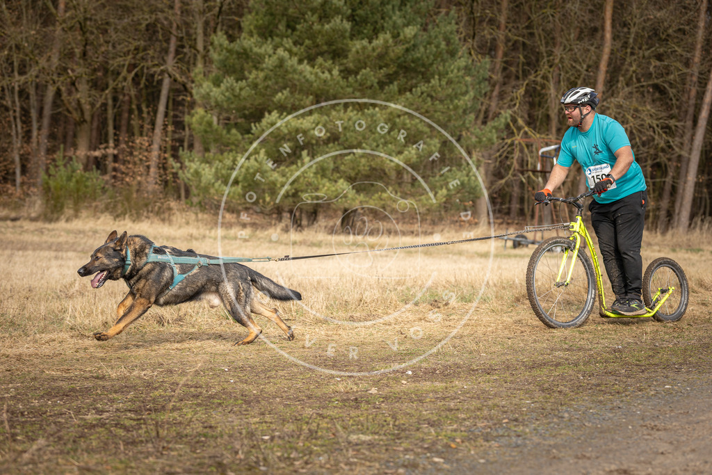 DV3A4821 | Hundefotografie, Tierfotograf, Pfotenfotografie, Fotoshooting Hund, Hunde Portrait, Hundesport, Hundeportraits, Heideshooting, Hunde, Sportfotograf, Hundefotograf, Turnierhundsport, THS,  - Realisiert mit Pictrs.com