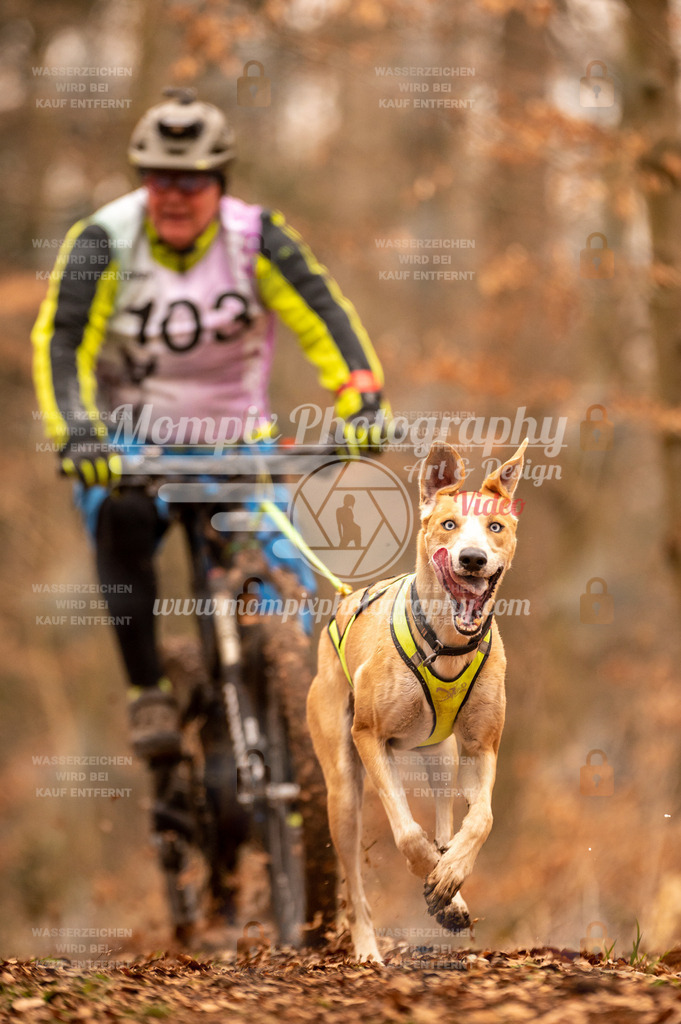 AKM_ST_2023_SAM_Bike-113 | PayLife