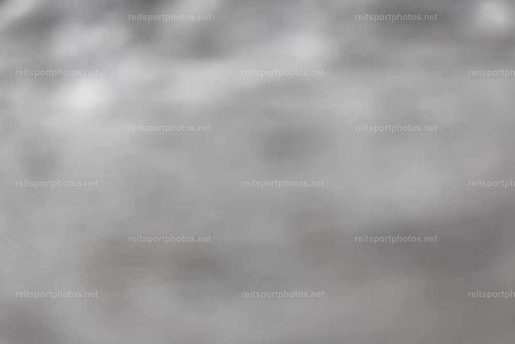JoYaR3_Heidehof_00045 | JoYa Fotografie - Realisiert mit Pictrs.com