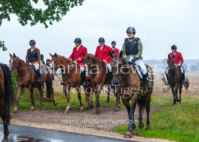 Jagd Kletkamp 26-02990_MarinaHewig | Fotografie, FotoArt, PferdesportArt, Pferdesportfotografie, Landschaftsfotografie, Reisefotografie, Reise, Pferde - Realisiert mit Pictrs.com