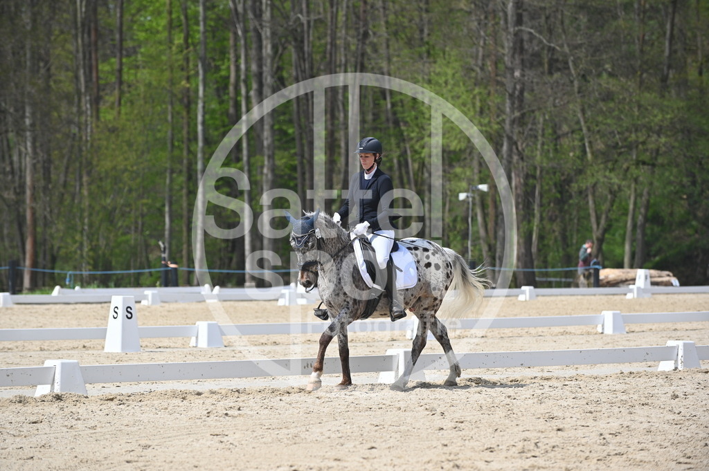 DSC_2296 | sattelsport - Realisiert mit Pictrs.com