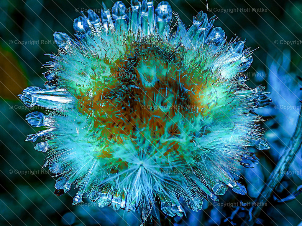 vergänglich | Rolf Wittke  - Realisiert mit Pictrs.com