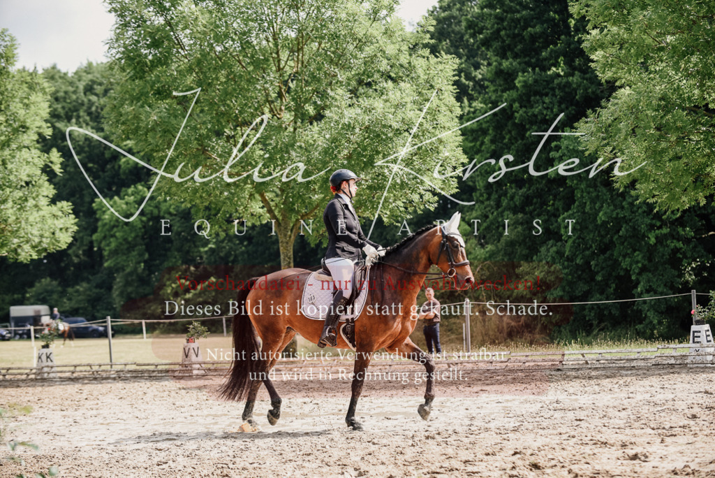 DSC_9871 | Pferde- und Turnierfotografie in Westsachsen. Pferdeportraits, Auftragszeichnungen und intuitive Kunst.