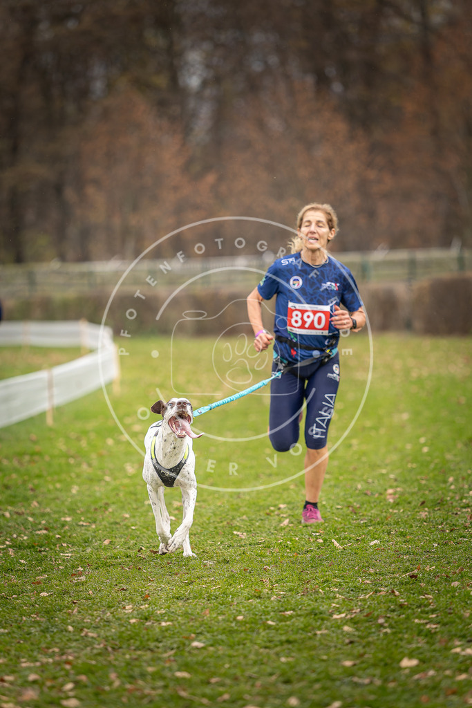 CaniXpix_DV3A6877 | Hundefotografie, Tierfotograf, Pfotenfotografie, Fotoshooting Hund, Hunde Portrait, Hundesport, Hundeportraits, Heideshooting, Hunde, Sportfotograf, Hundefotograf, Turnierhundsport, THS,  - Realisiert mit Pictrs.com