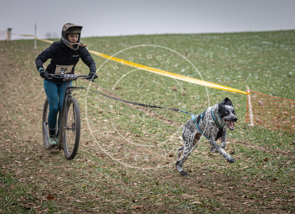 Pfotenfotografie_DV3A1200 | Hundefotografie, Tierfotograf, Pfotenfotografie, Fotoshooting Hund, Hunde Portrait, Hundesport, Hundeportraits, Heideshooting, Hunde, Sportfotograf, Hundefotograf, Turnierhundsport, THS,  - Realisiert mit Pictrs.com