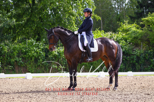 DKP41456 | Turnierfotos kaufen im Webshop von Daniel Kuhl Photography – entdecke professionelle Reitsportfotos aus Turnieren & Events. Hochwertige Turnierbilder online bestellen & sichern. Jetzt Fotos von Reitsportturnieren kaufen!