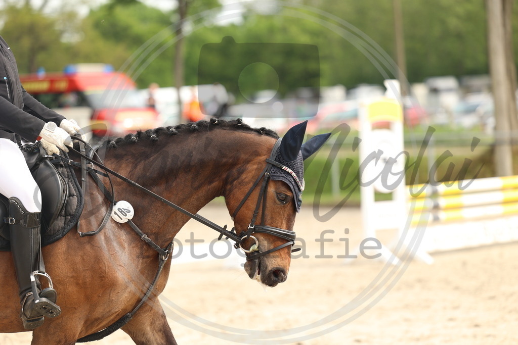 994A7762 | sabrinanicolaifotografie - Realisiert mit Pictrs.com