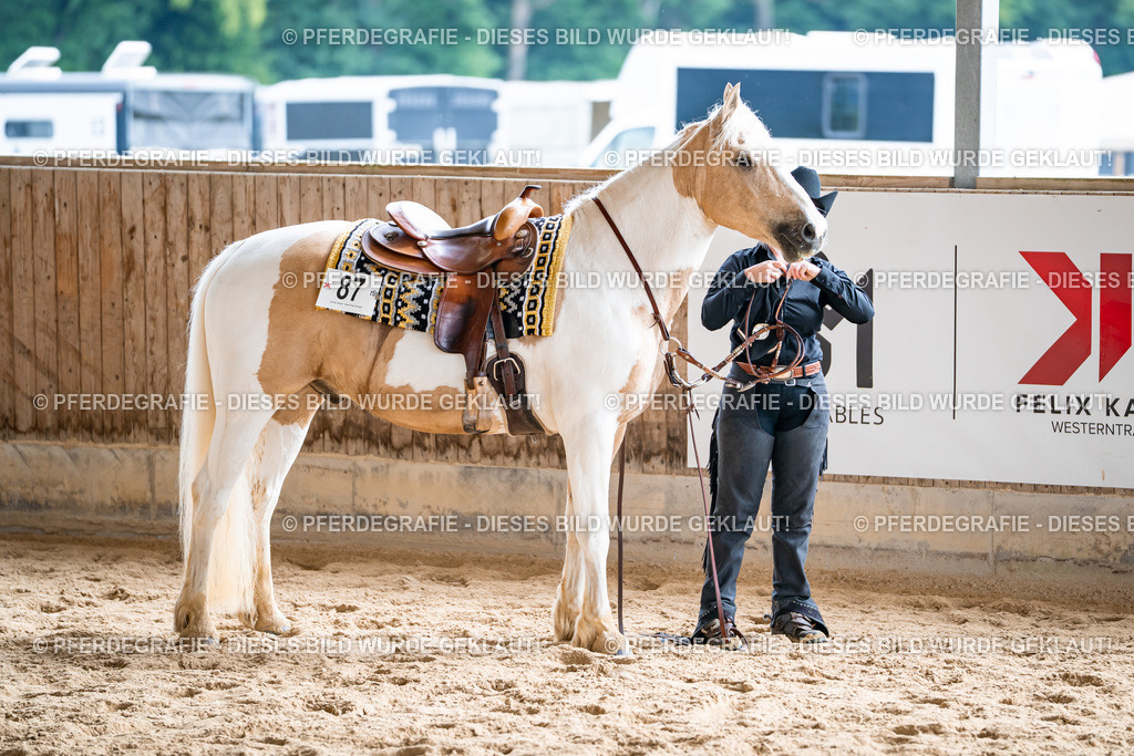 DSC02136 | Pferdegrafie