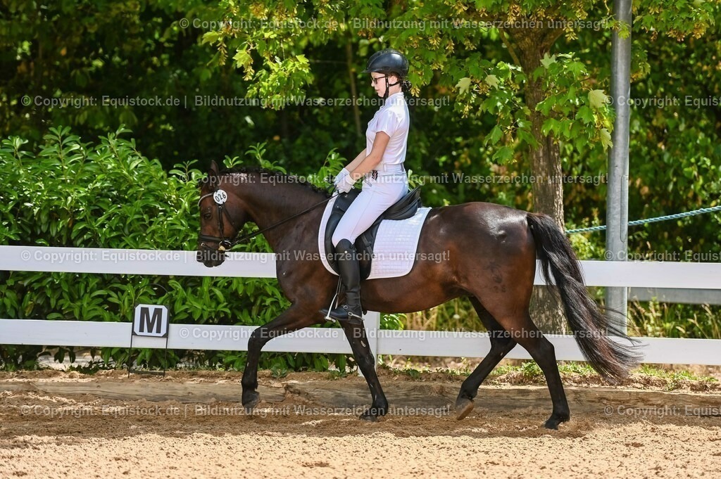 20230715_09_Dressur-WB_0224 | equistock