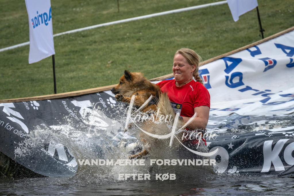1501_ZZ93212 | kk-dogfotos