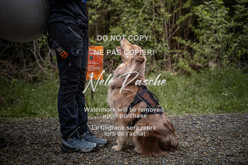 nelerasche_TheGame2026_SaRallyeO_56 | nelerasche