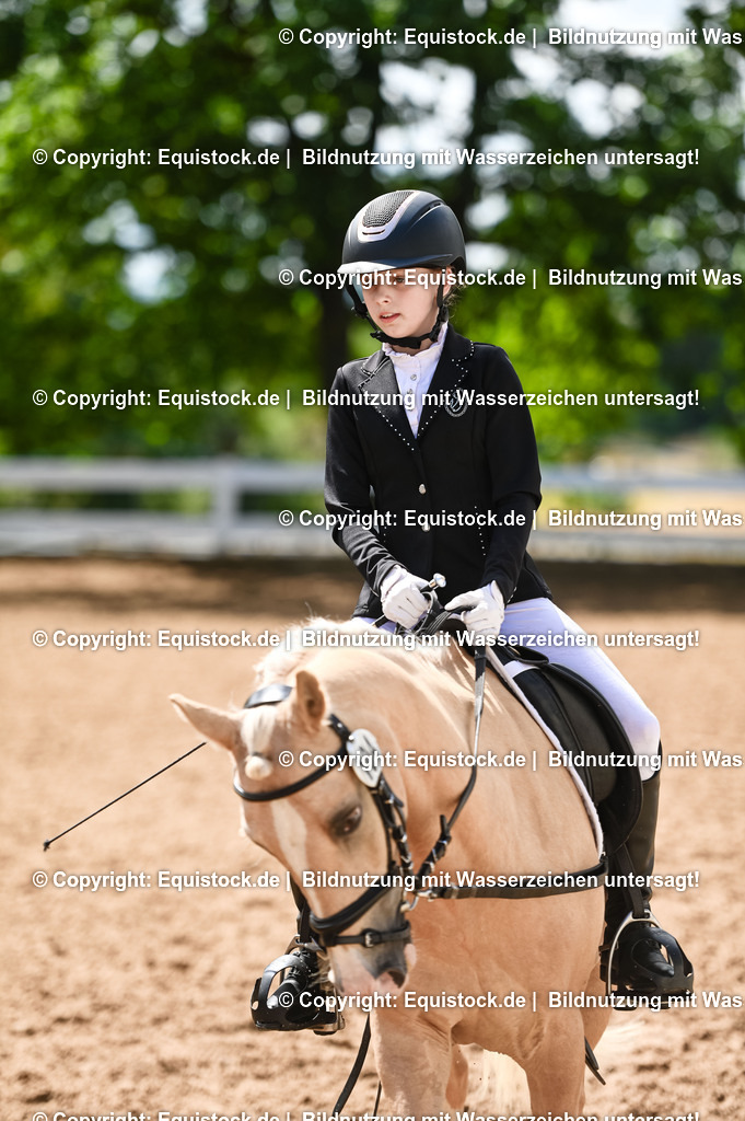 20230716_10-3_Reiter-WB Schritt - Trab - Galopp_0029 | equistock