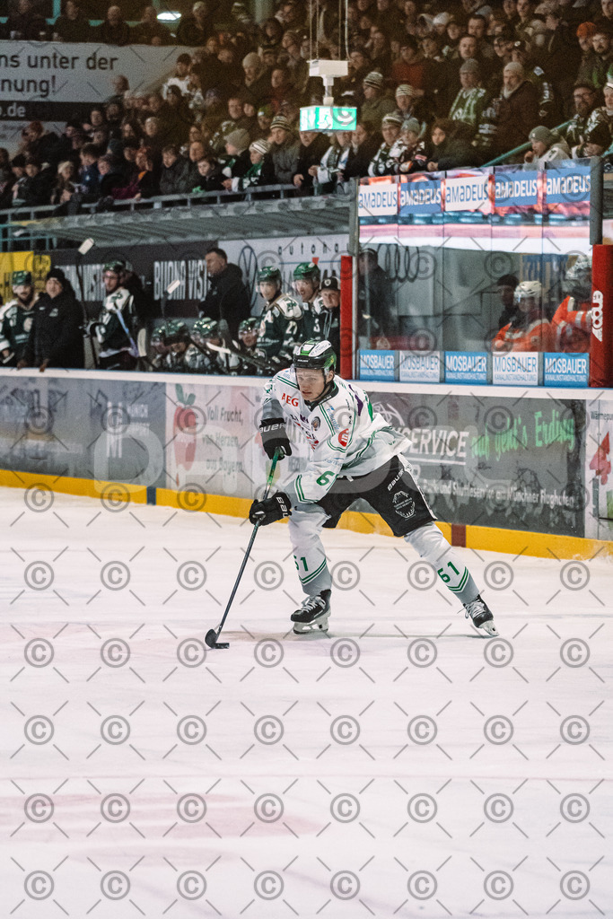 Erding_vs_Alligators_02_01_2026-71 | Höchstadt Alligators Fotogalerie: Eishockey-Action aus Franken. Professionelle Spielfotos, Portraits & Stadionbilder zum Download. Jetzt entdecken! - Realisiert mit Pictrs.com