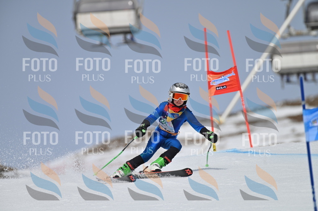 BGV_4842 | holidayphoto