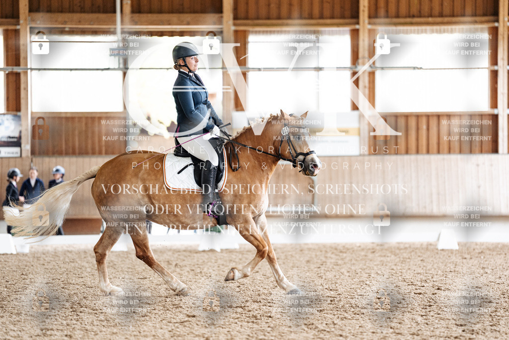 CK900610 | Turnierfotografie Pferdefotografie Trier Rheinland-Pfalz Pferdesport Reitsport Tierfotografie Sportfotografie Pferdevideo Pferdevideografie Equestrianvideography equestrianphotography  - Realisiert mit Pictrs.com