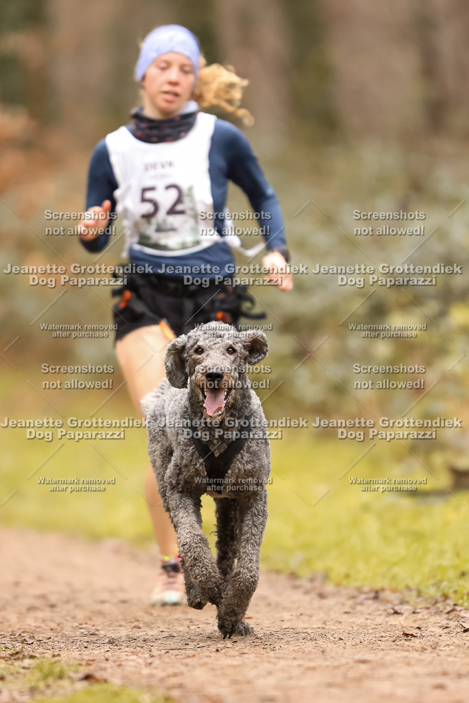 Dog Paparazzi - Speedhunter Mannheim  2025-147 | Dog Paparazzi Jeanette Grottendiek Fotografie & Videografie