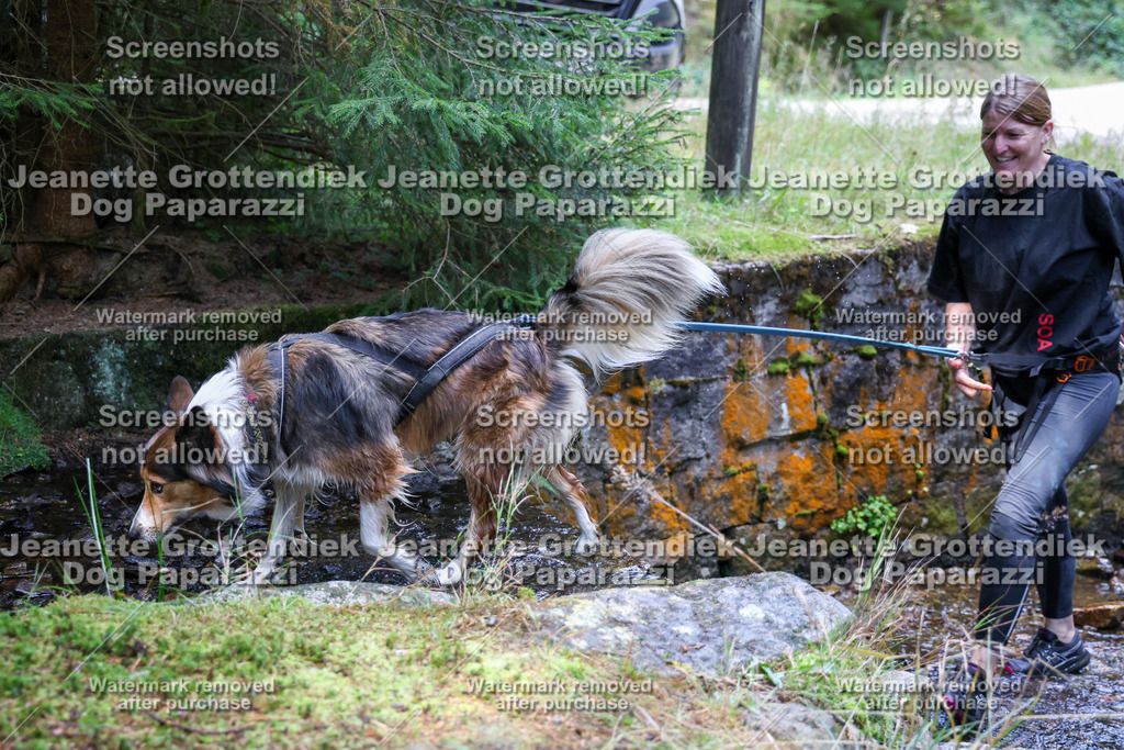 Dog Paparazzi -  TH 26-482 | Dog Paparazzi Jeanette Grottendiek Fotografie & Videografie - Realisiert mit Pictrs.com