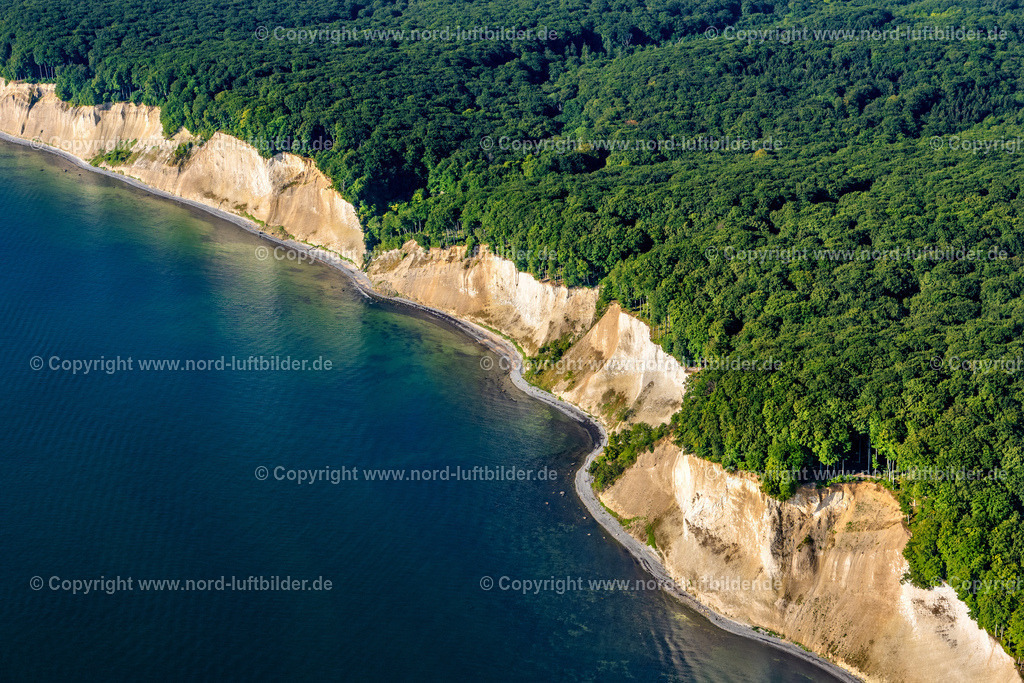 Kreidefelsen_Rügen_Els_7065100822 | SASSNITZ 10.08.2022 Blick auf die Kreideküste im Nationalpark Jasmund bei Sassnitz auf der Insel Rügen in Mecklenburg-Vorpommern. Der markante Felsvorsprung Königsstuhl befindet sich in der Umgebung der Stubbenkammer in dem seit 1990 bestehenden Nationalpark am Ufer zur Ostsee mit einem Buchenwald, der teilweise zum UNESCO-Welterbe gehört. // View of the chalk cliff coast in the National Park Jasmund near Sassnitz on the island Ruegen in Mecklenburg-West Pomerania. Foto: Martin Elsen
