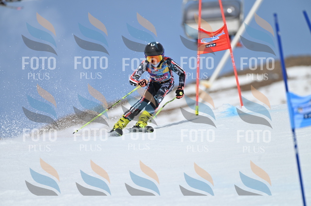 BGV_2461 | holidayphoto