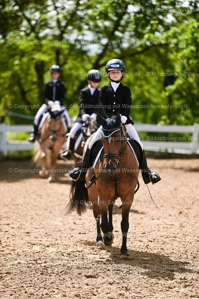 20230716_10-3_Reiter-WB Schritt - Trab - Galopp_0019 | equistock