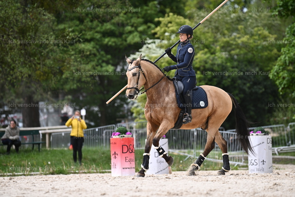 PI26_ST_Sara_Landvogt226_2532.JPG | working equitationturnier fotograf videograf stoibphotography marixx film working equitation deutschland reitsport turnierfotografie eventfotografie equestrian events