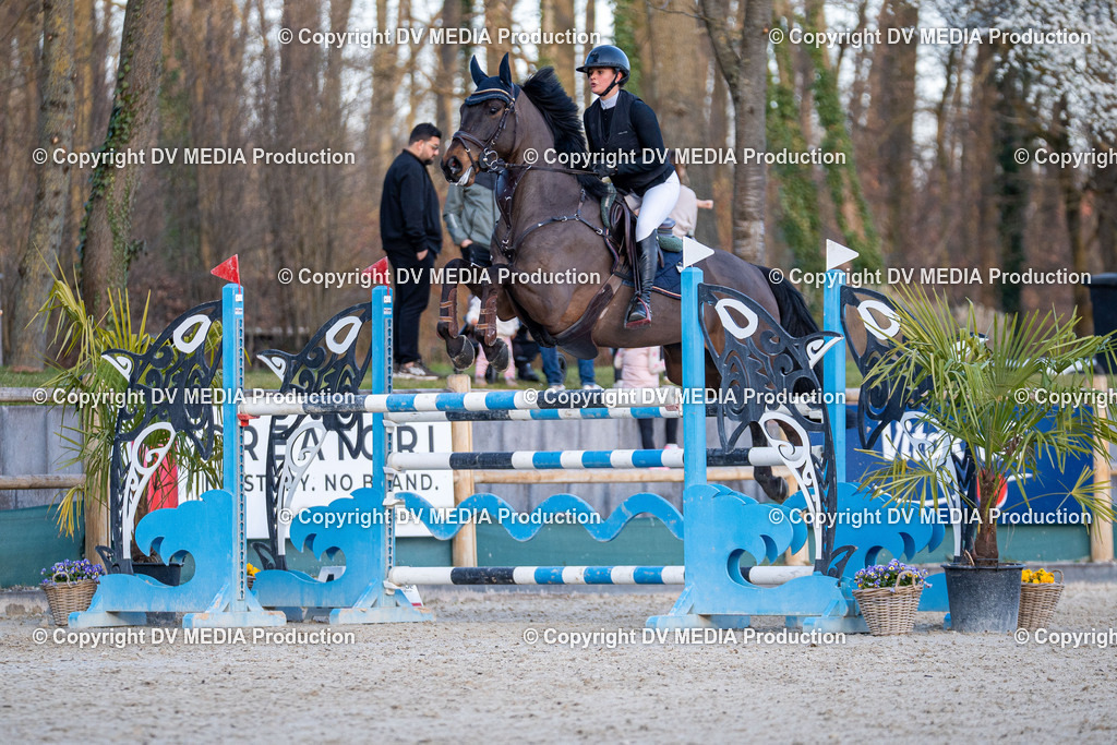 Kranichstein Tag 2-1056 | dv-media-shop - Realisiert mit Pictrs.com