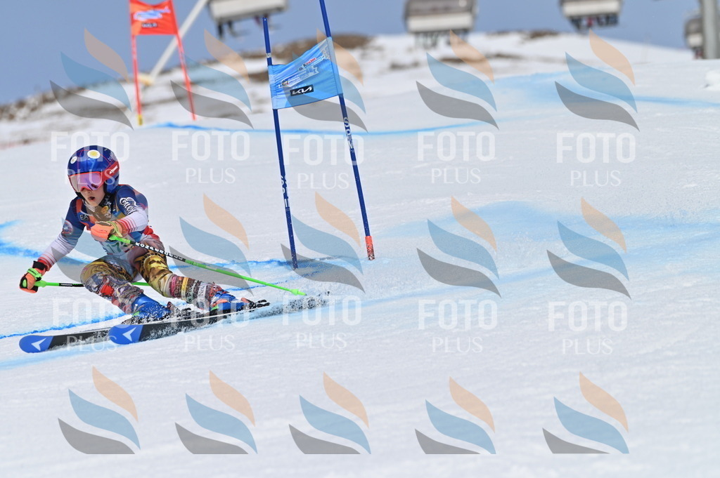 BGV_3422 | holidayphoto