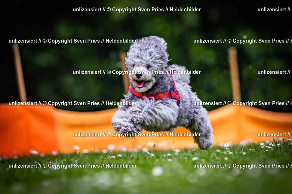 Sven Pries | 2025-05-29 - Pudelrennen KA-Durlach - Realisiert mit Pictrs.com