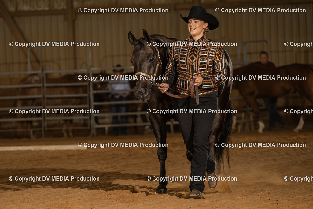 NID02382 | dv-media-shop - Realisiert mit Pictrs.com